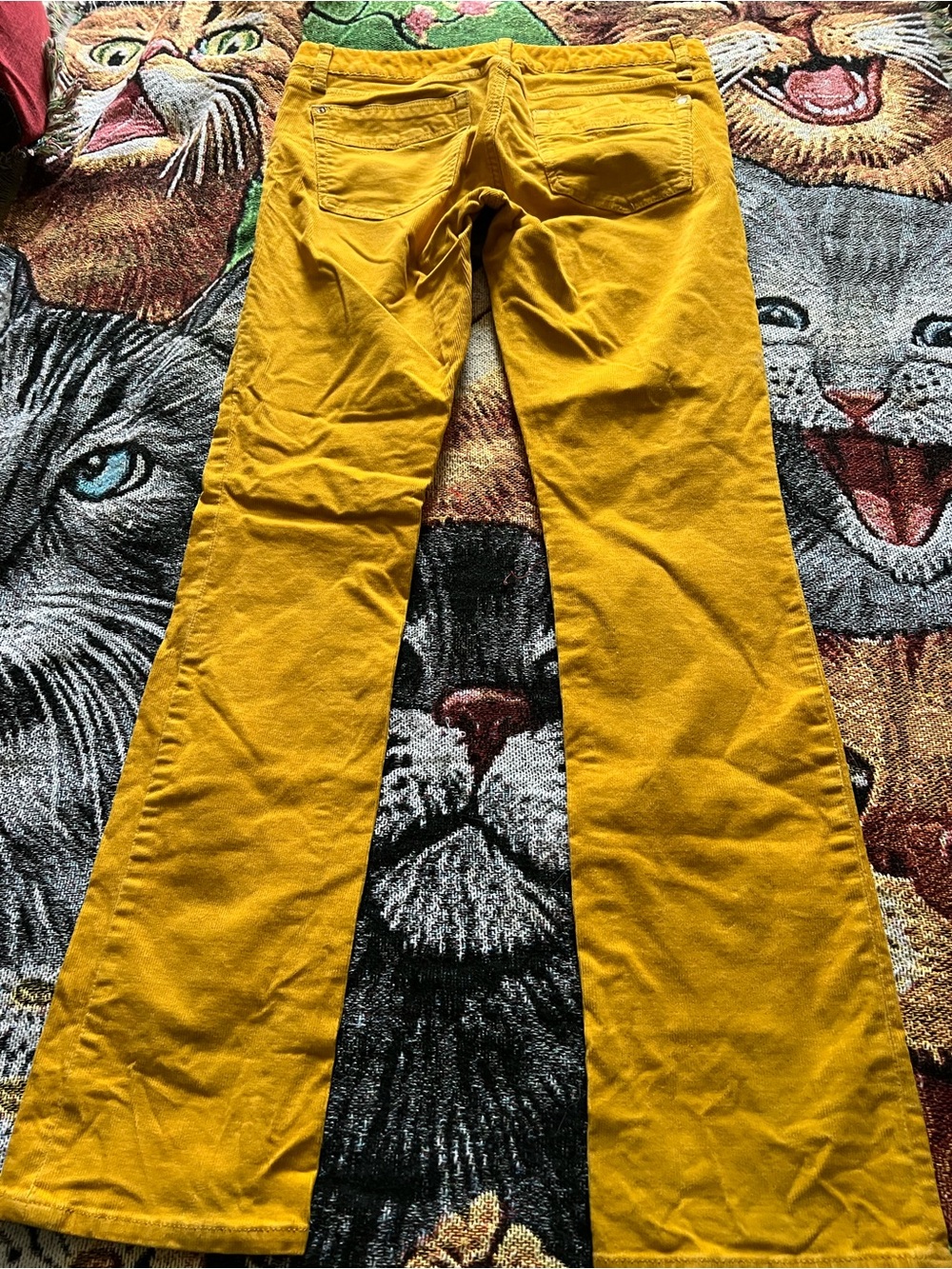 Gap Mustard Yellow Corduroy Pants - Picture 2 of 9